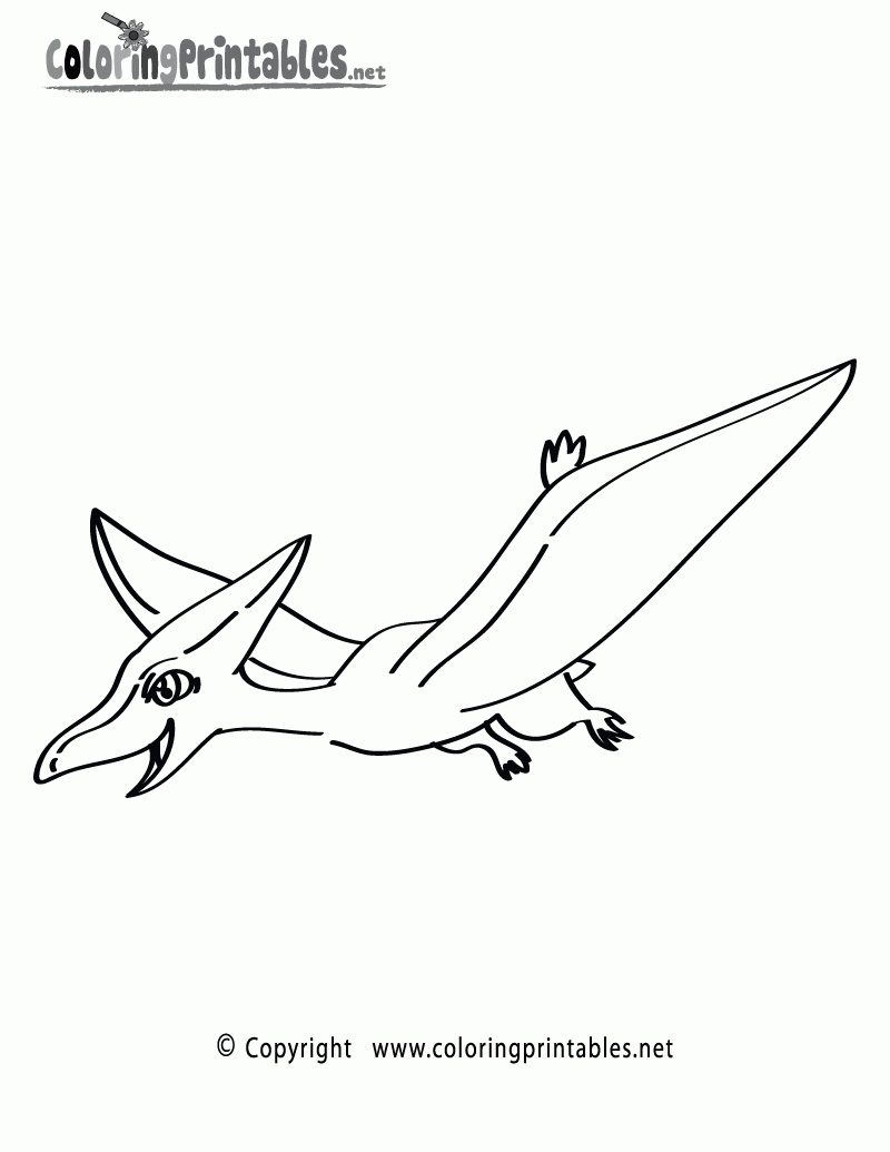 Pterodactyl Coloring Page A Free Dinosaur Coloring Printable