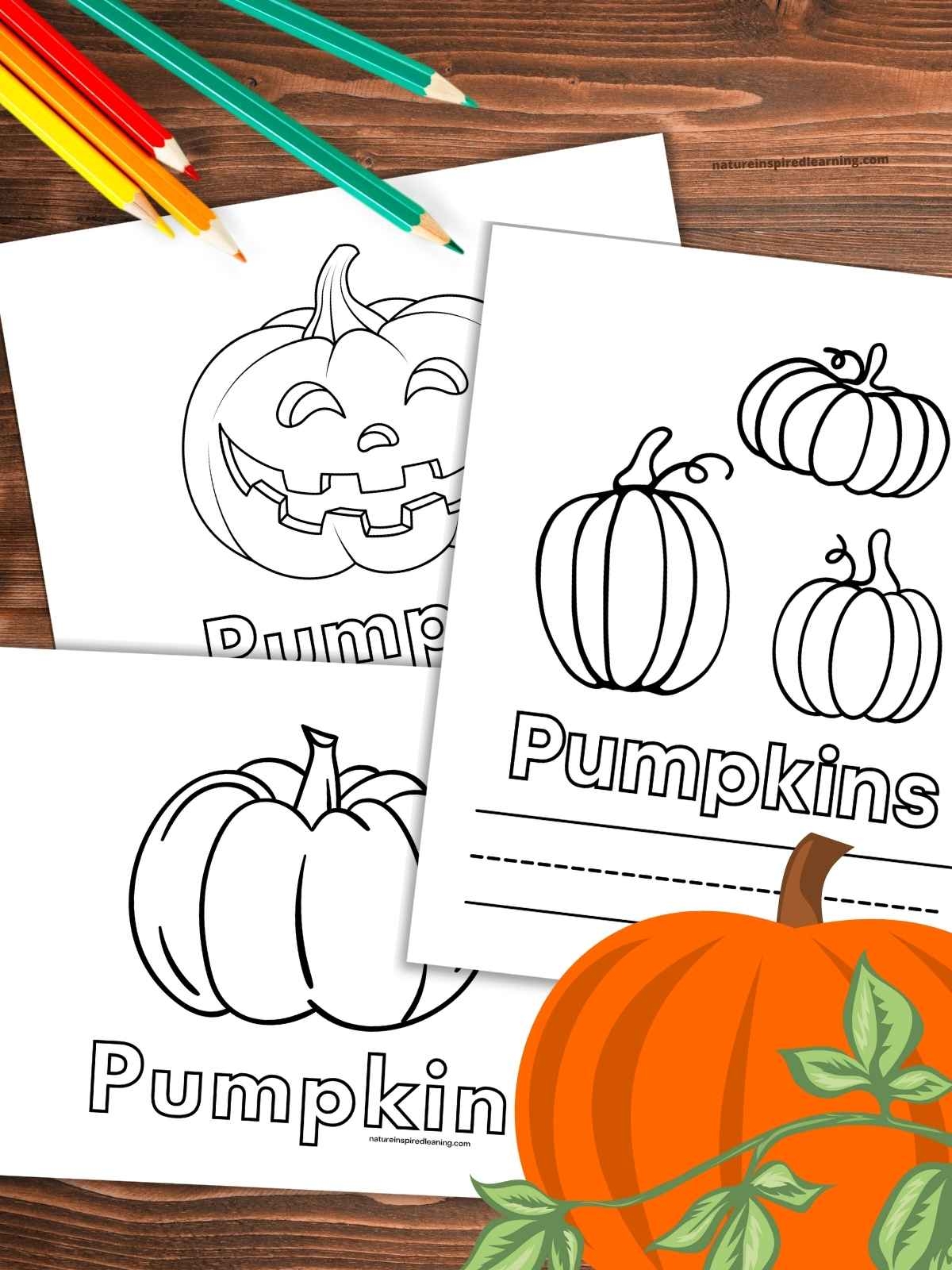 pumpkin patch coloring pages printable