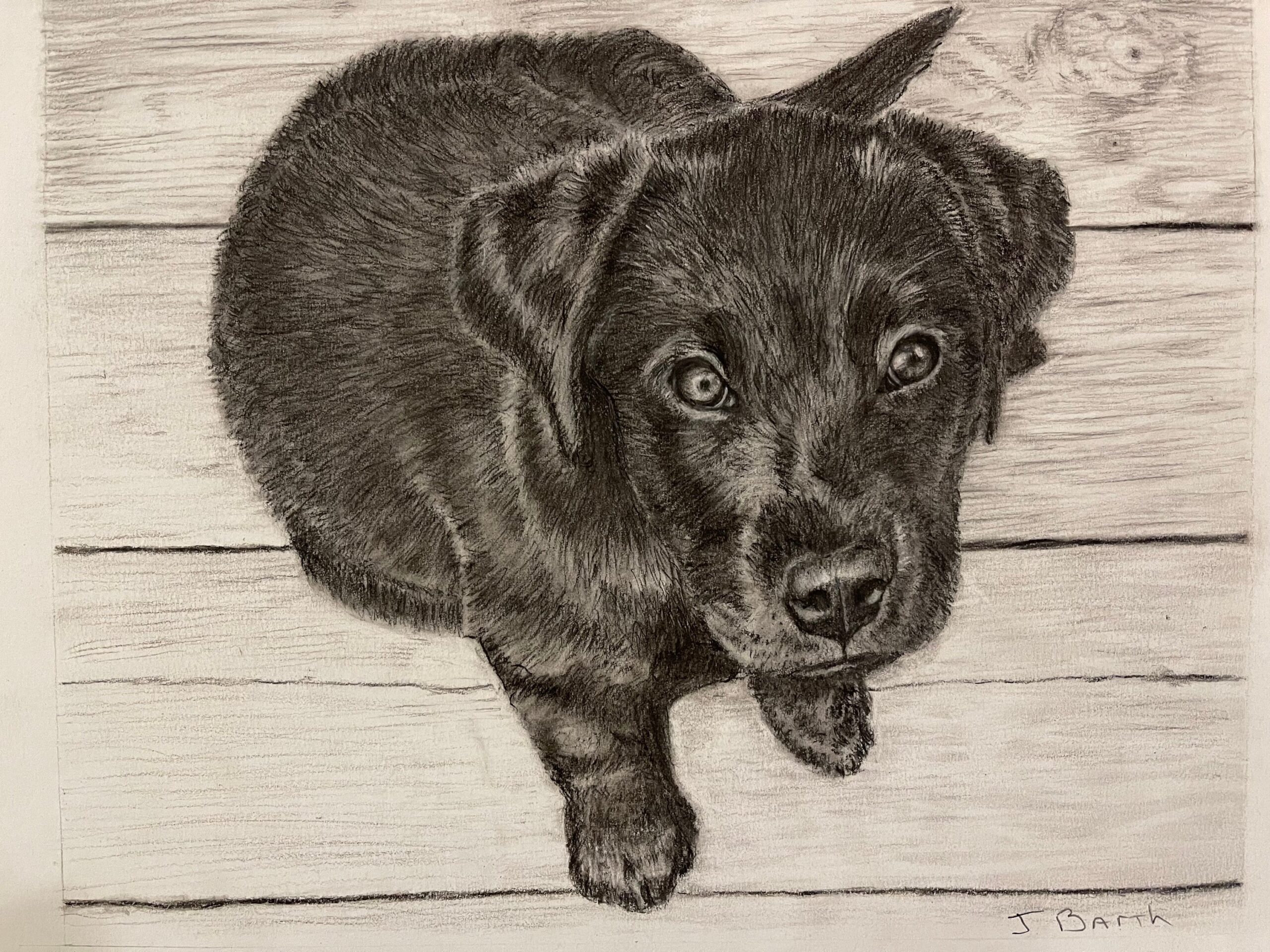 Puppy Drawing Watercolor Giclee Print Realistic Dog Drawing Home Decor Wall Art Gift Animal Art Puppy Art Hand Drawing By Jack Barth Etsy