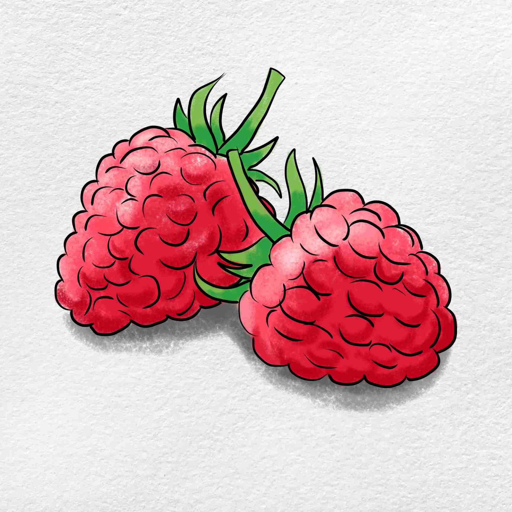 Raspberries Drawing HelloArtsy