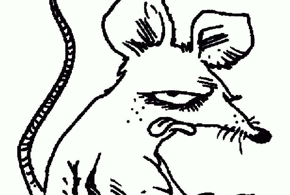 Rat Coloring Page Animals Town Animals Color Sheet Rat Free