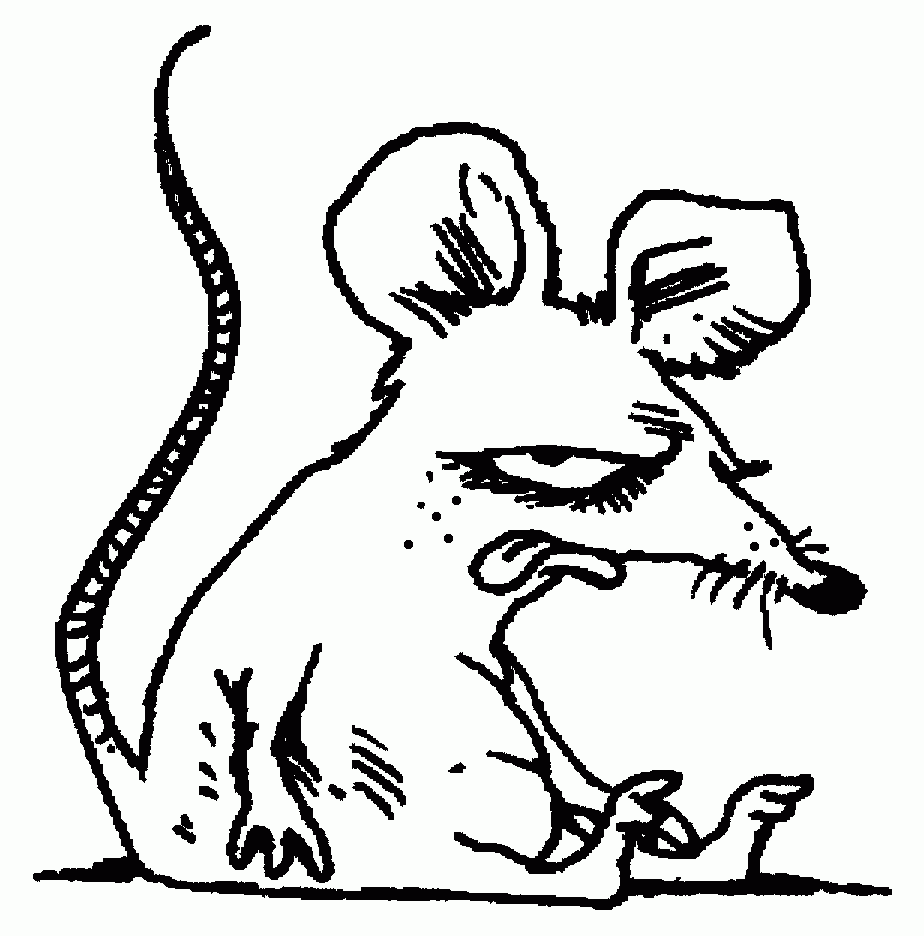 Rat Coloring Page Animals Town Animals Color Sheet Rat Free 