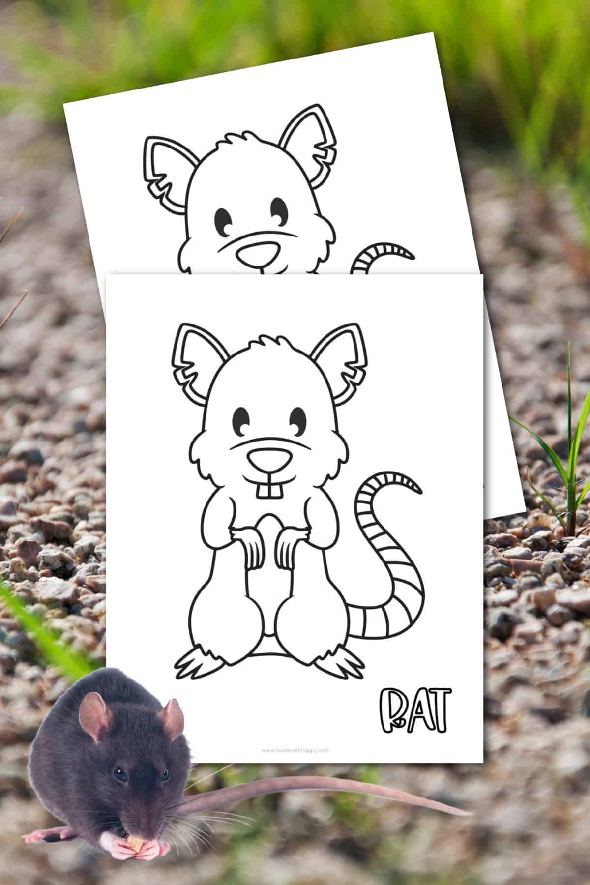 Rat Coloring Page Made With HAPPY