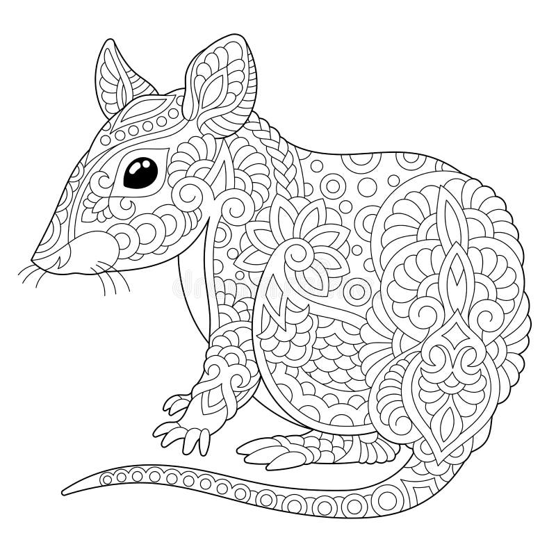Rat Colouring Page Stock Illustrations 156 Rat Colouring Page 