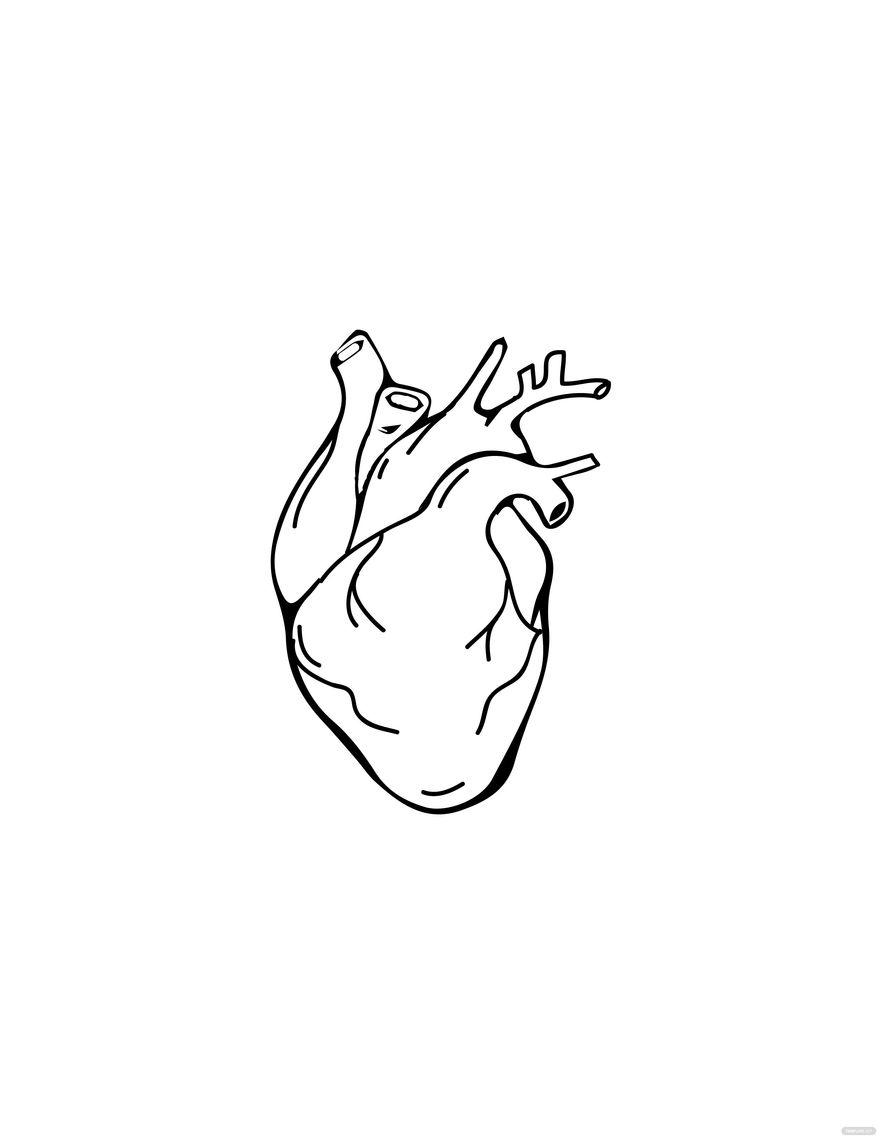 Real Human Heart Drawing In Illustrator PDF JPG EPS SVG PNG 