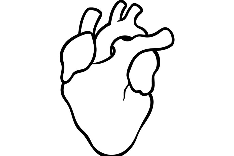 Realistic Heart Drawing How To Draw A Realistic Heart Step By Step