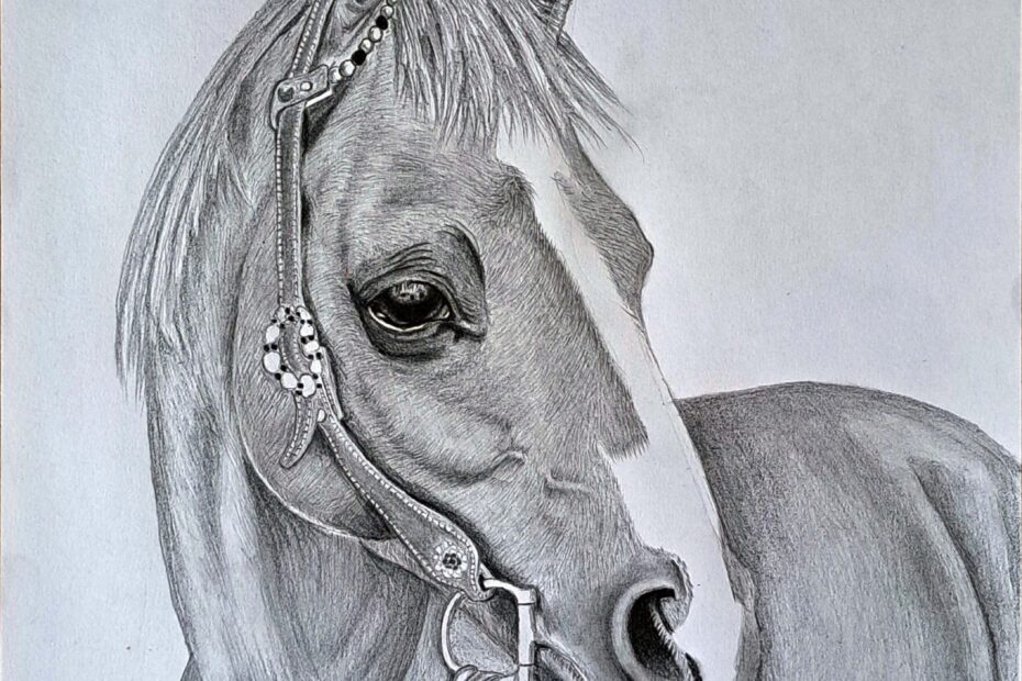 Realistic Horse Drawing How To Draw A Horse For Beginners Muus Art