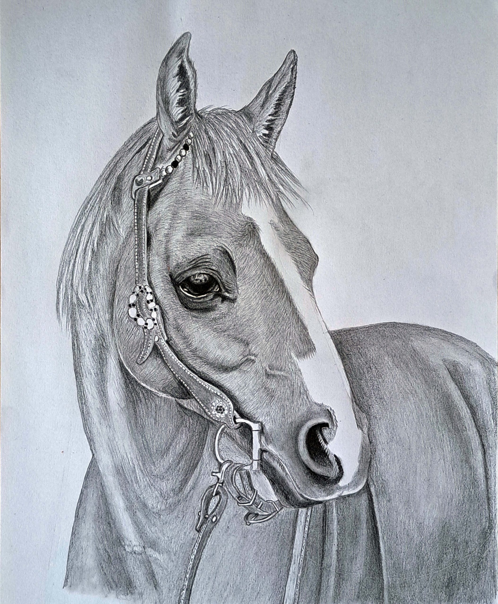 Realistic Horse Drawing How To Draw A Horse For Beginners Muus Art