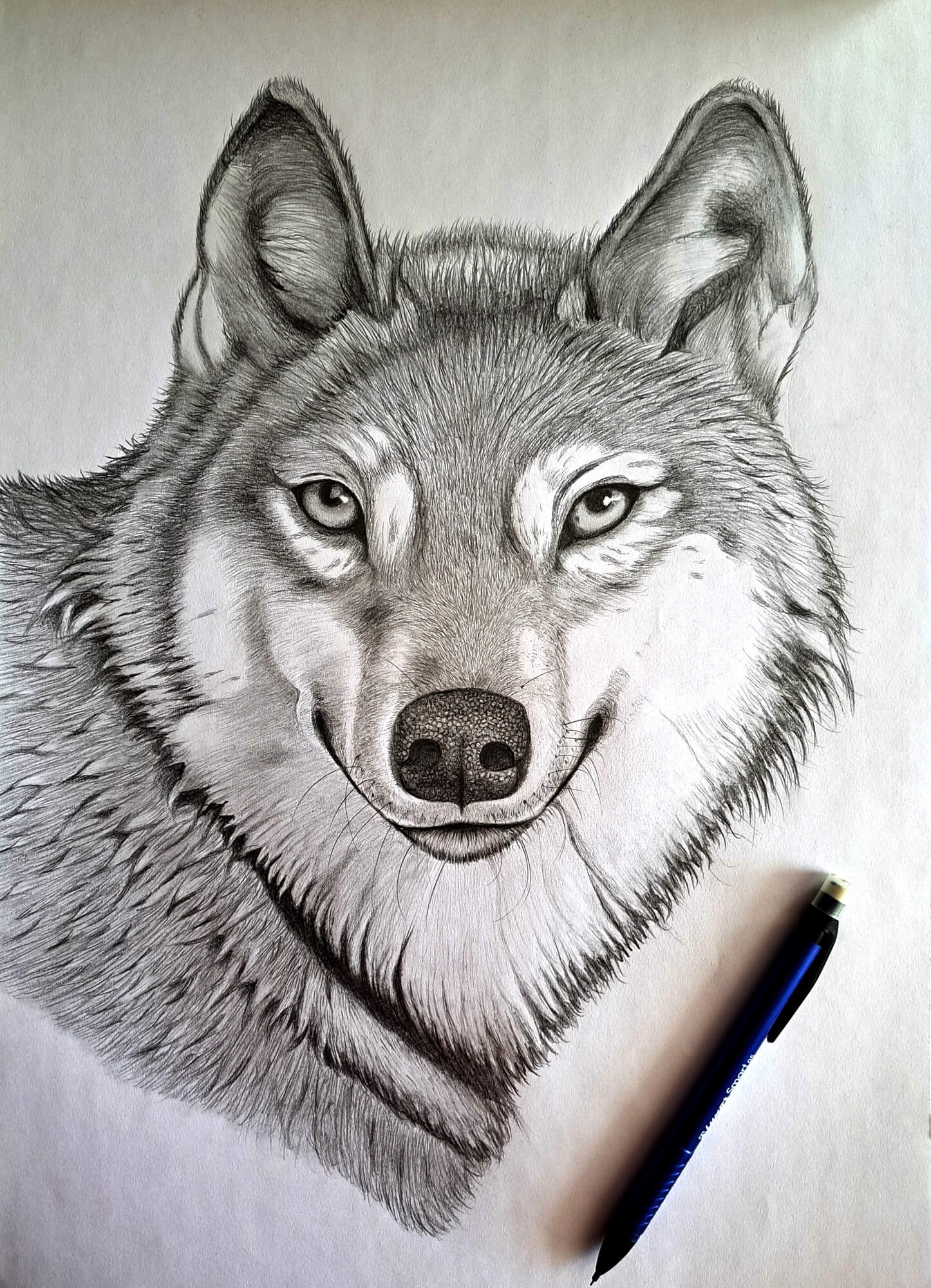 Realistic Wolf Drawing How To Draw A Wolf Head Easily Muus Art