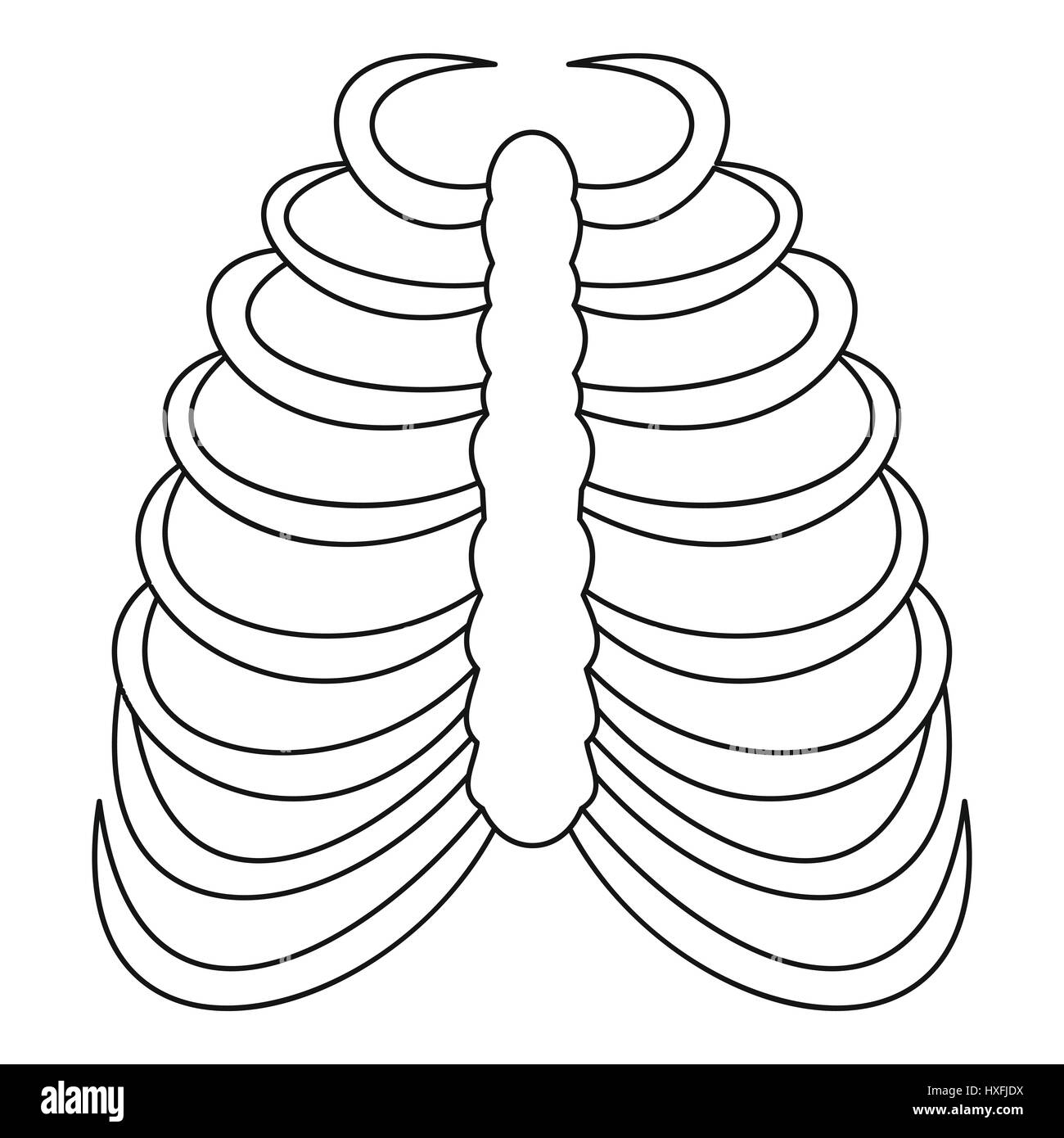 Rib Cage Icon Outline Style Stock Vector Image U0026 Art Alamy