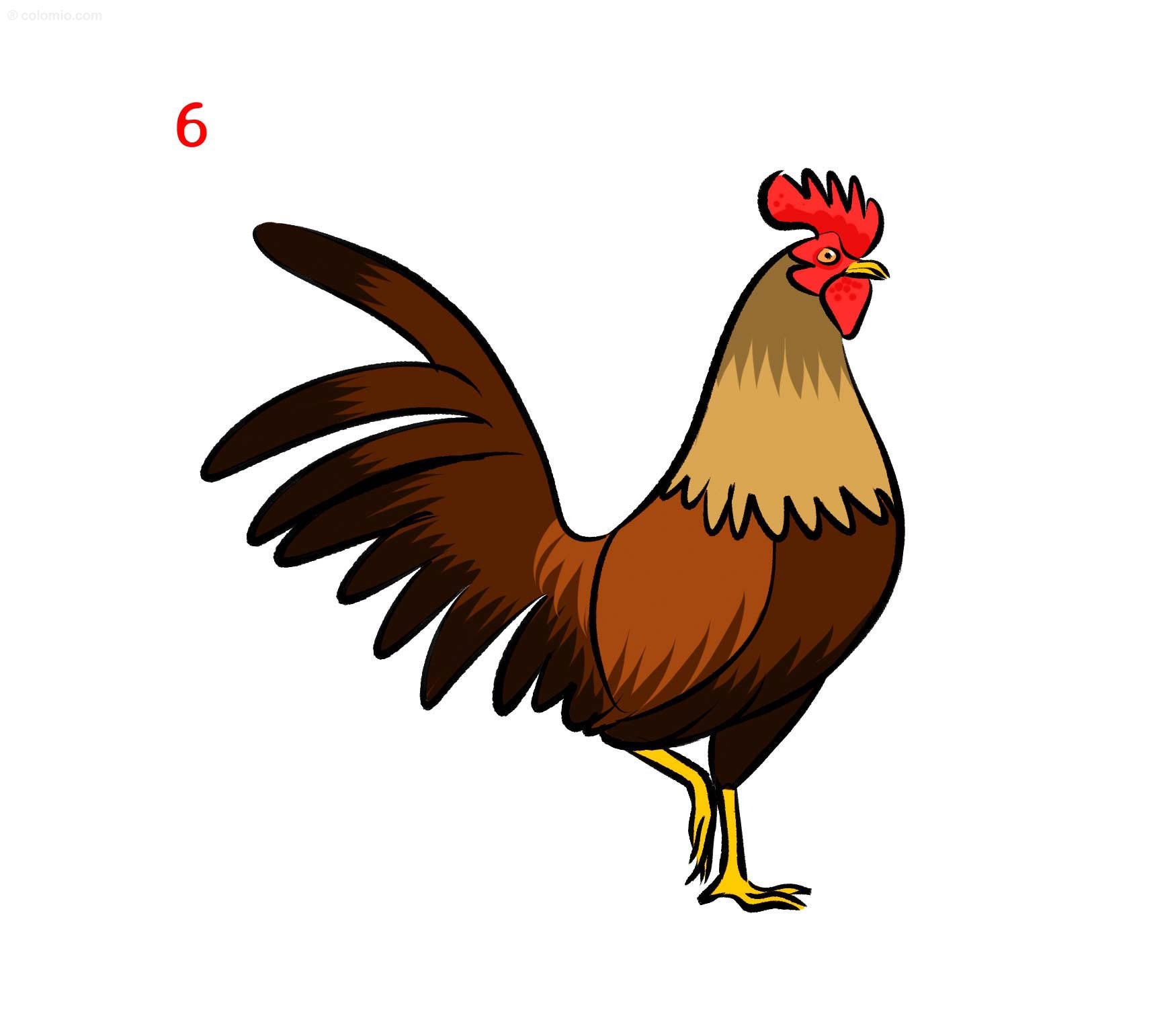 Rooster Drawing How To Draw A Rooster Step By Step