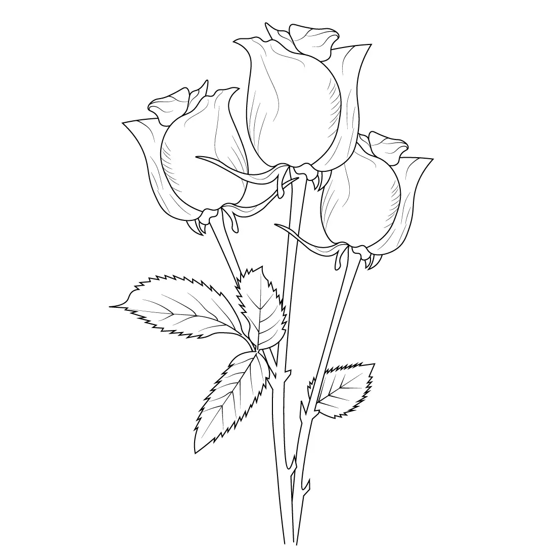 pencil drawing easy and beautiful
