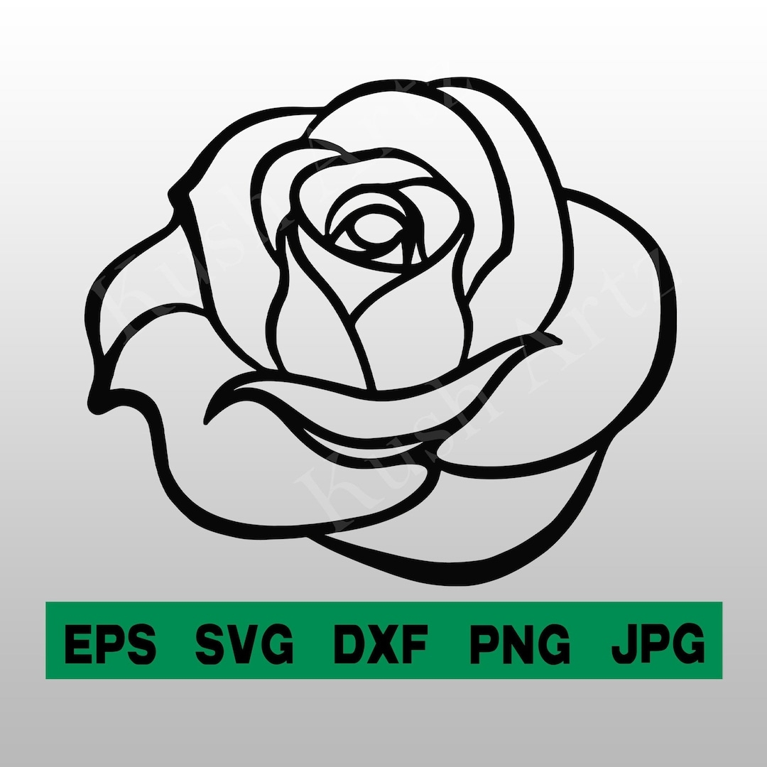 rose outline drawing