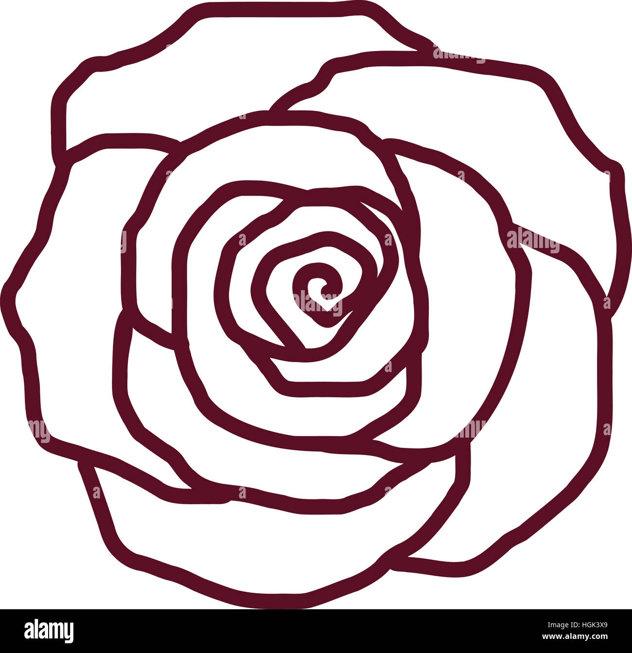 Rose Outline Hi res Stock Photography And Images Alamy
