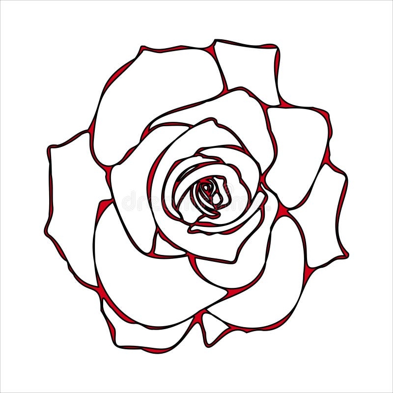 Rose Outline Red Stock Illustrations 10 351 Rose Outline Red 
