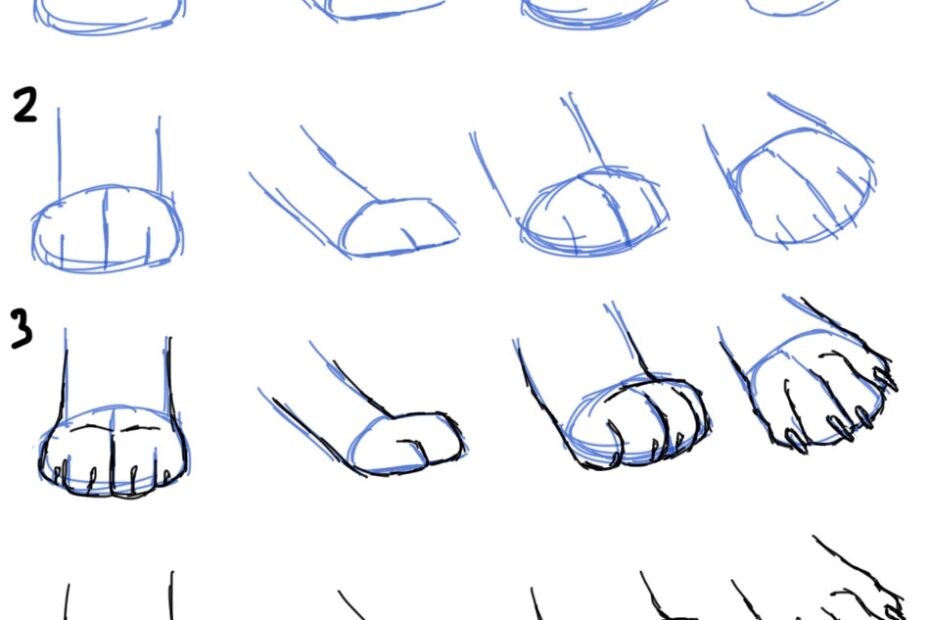 Savanna Williams How To Draw Cat Paws