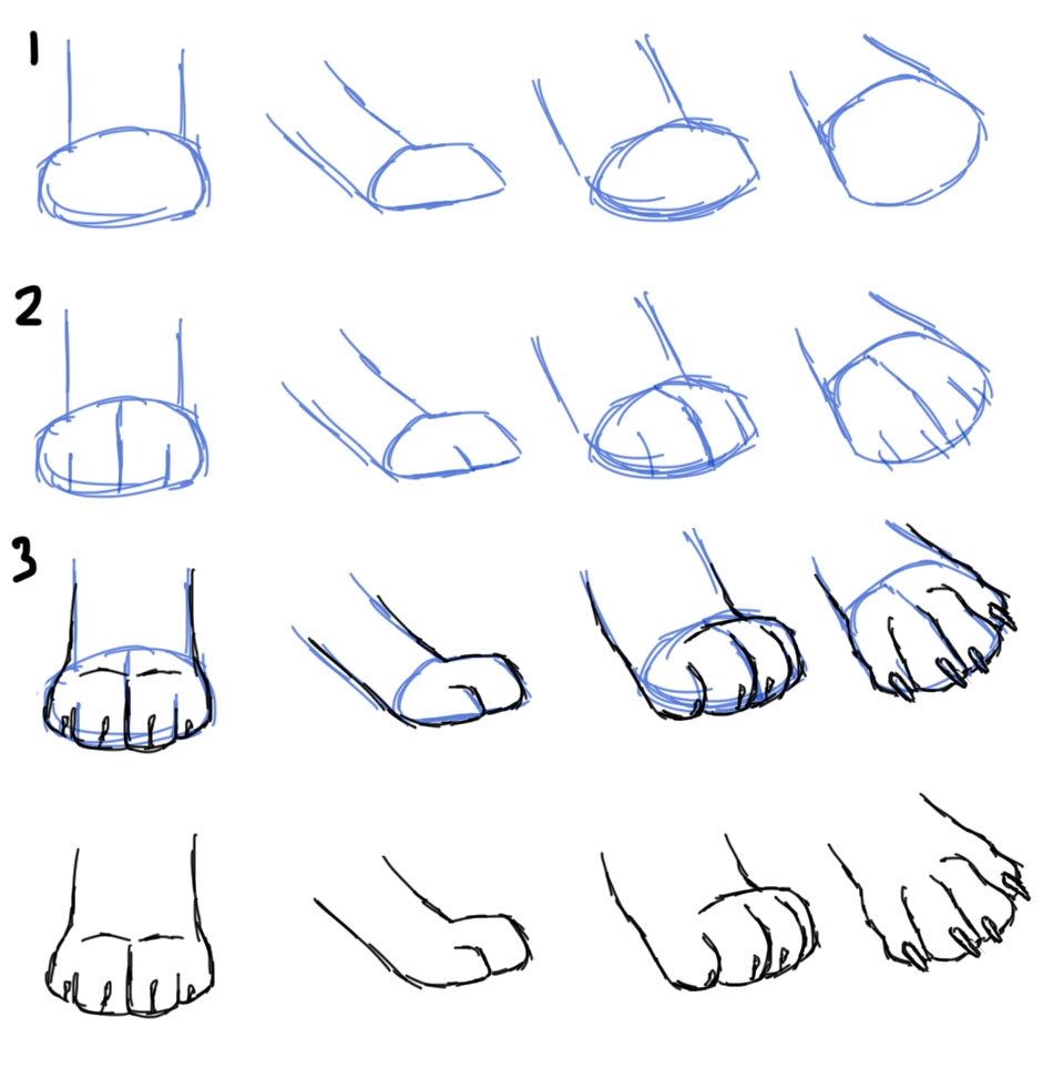 Savanna Williams How To Draw Cat Paws