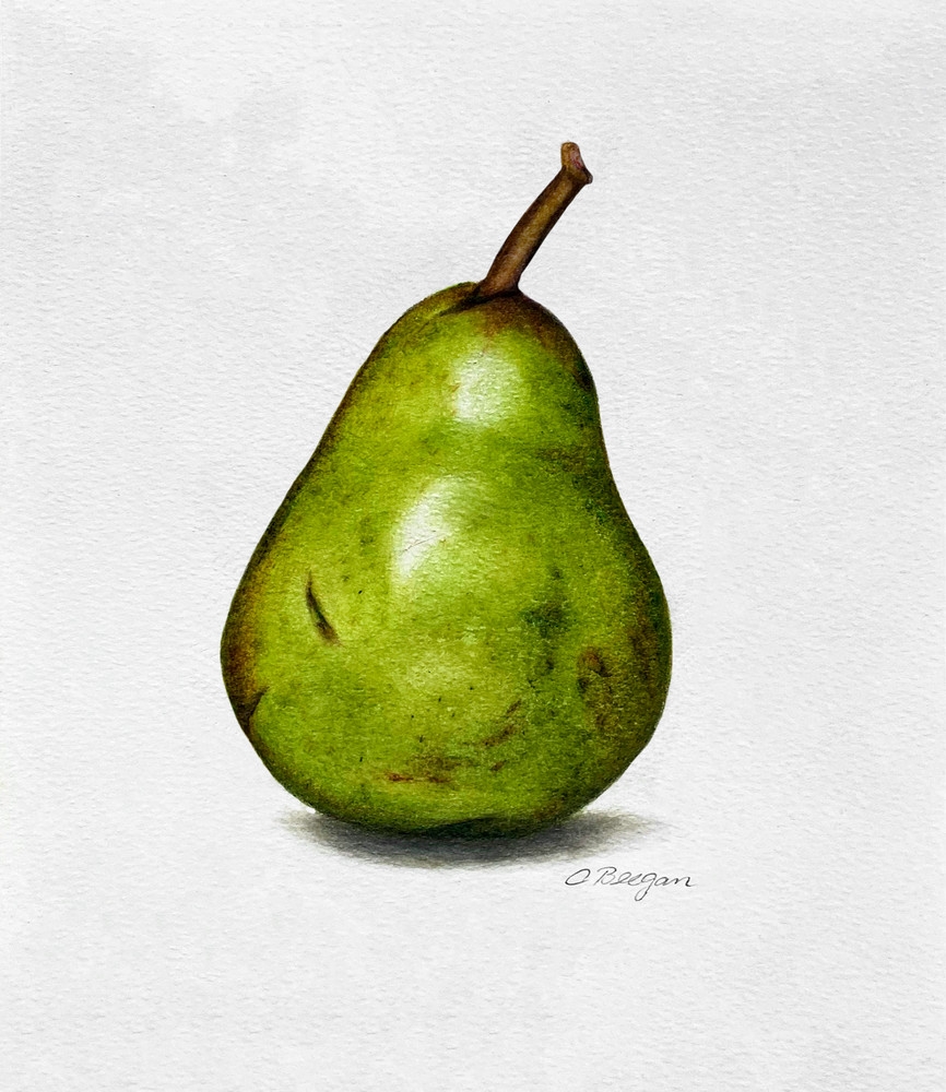 pear drawing