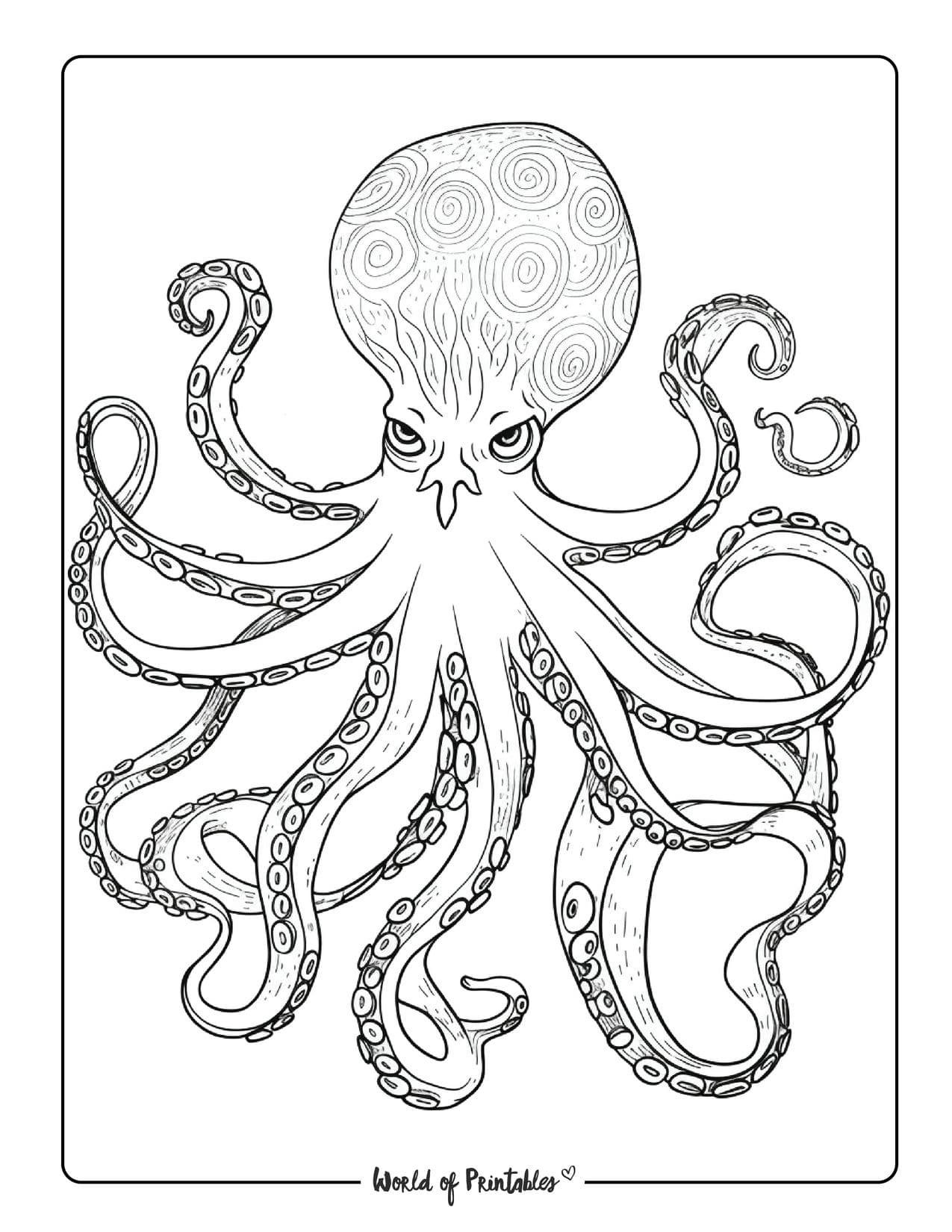realistic ocean animals coloring pages