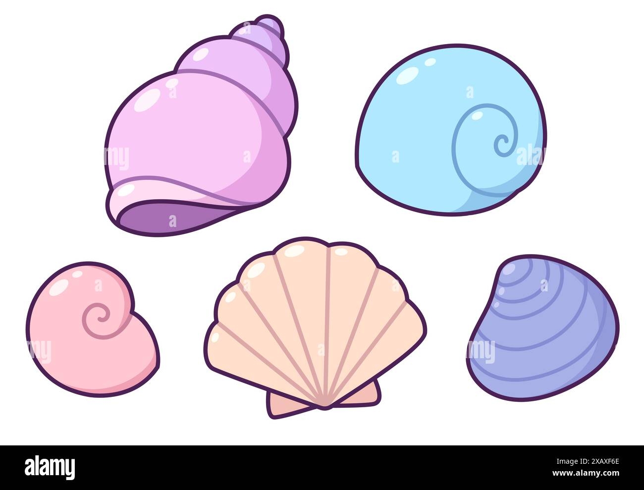 seashells drawing