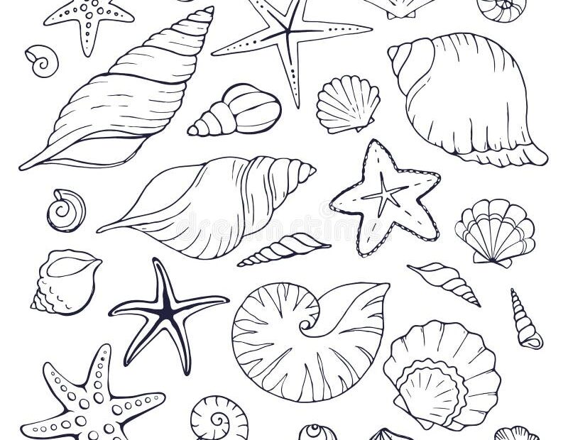 Sea Shells Coloring Stock Illustrations 1 057 Sea Shells