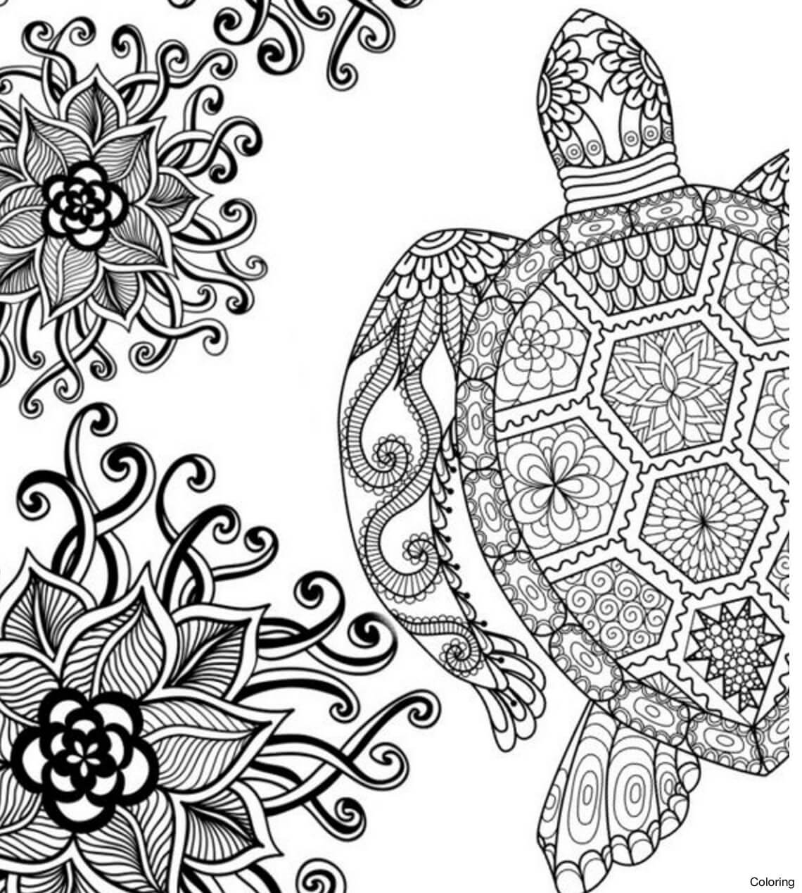 sea turtle printable coloring pages