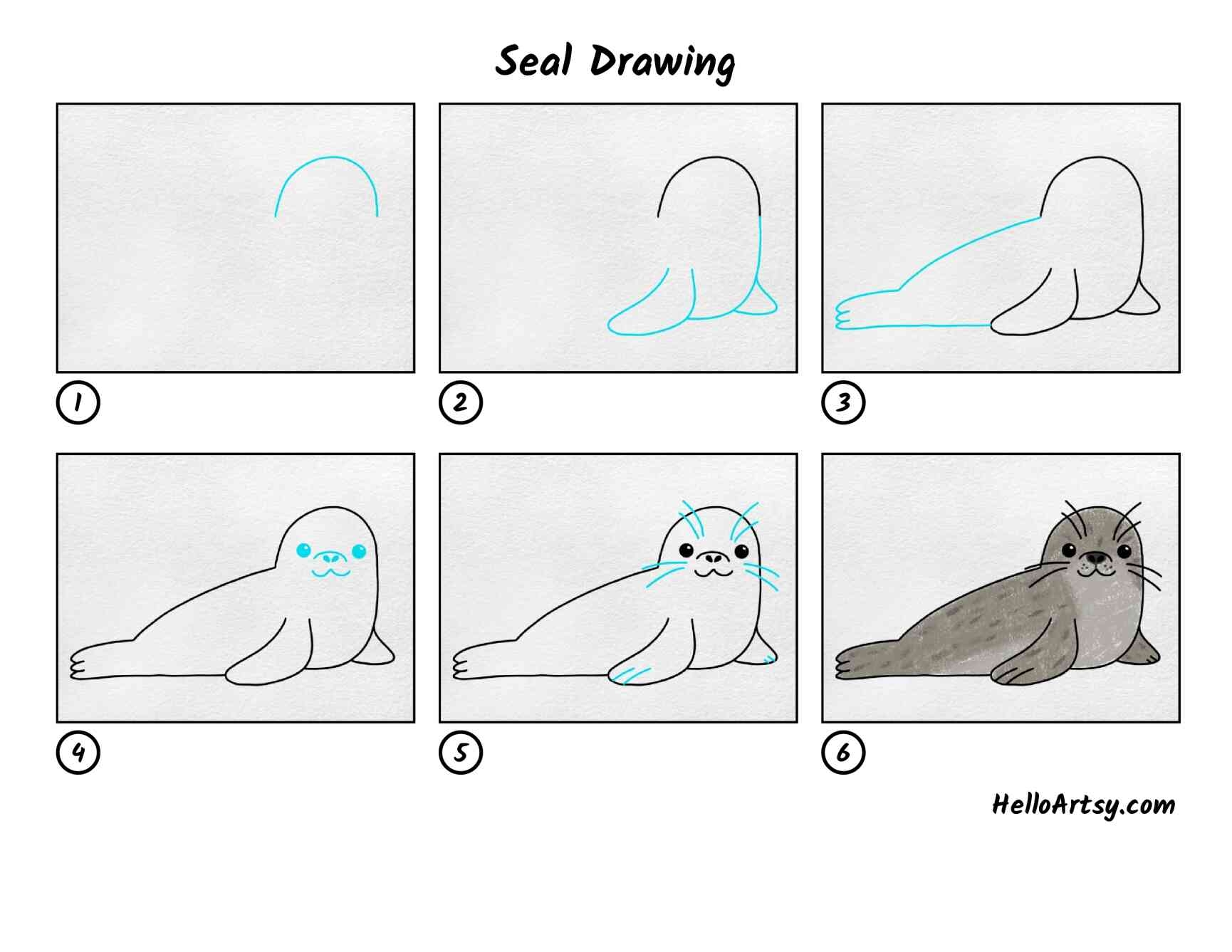 Seal Drawing HelloArtsy