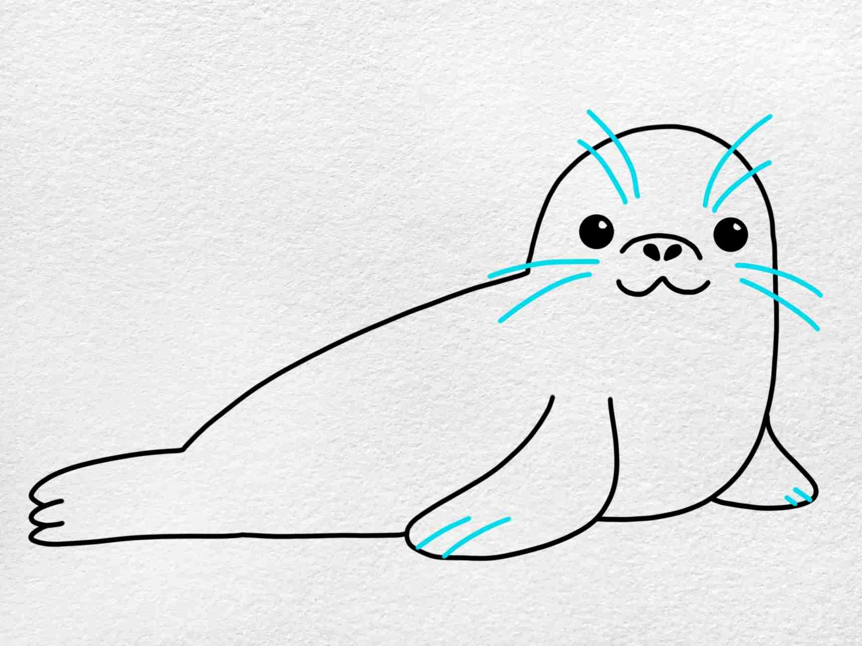 Seal Drawing HelloArtsy