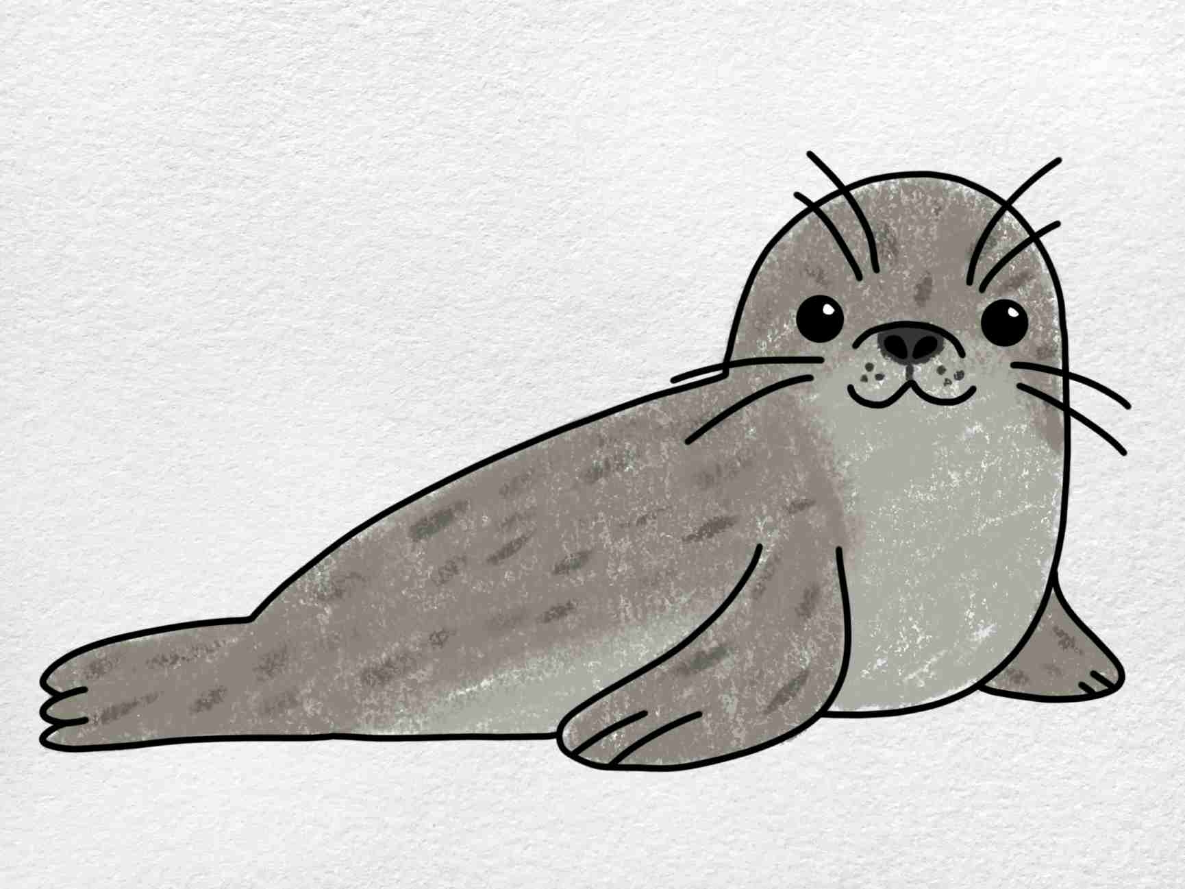 Seal Drawing HelloArtsy