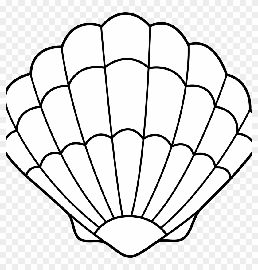 Seashell Clipart Seashell Lineart Free Clip Art Clip Seashell 