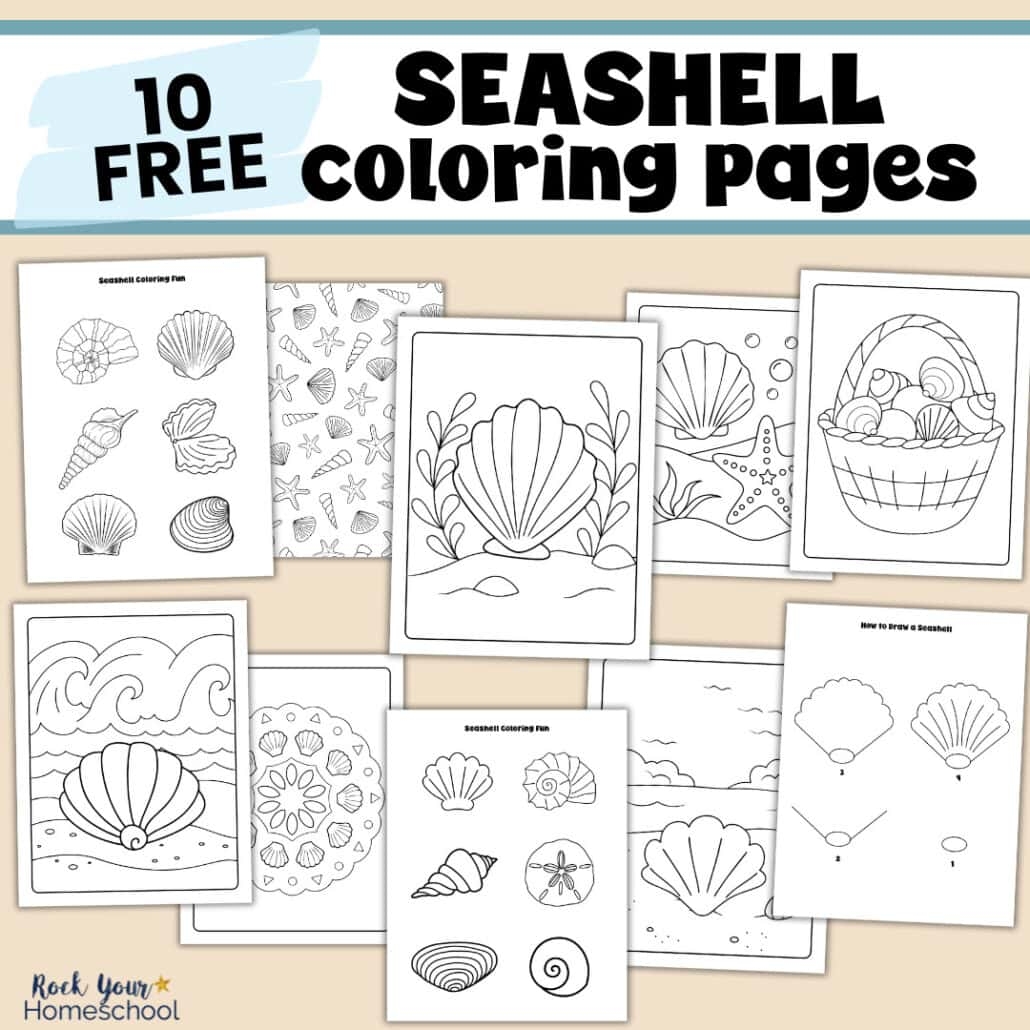 Seashell Coloring Pages Rock Your Homeschool