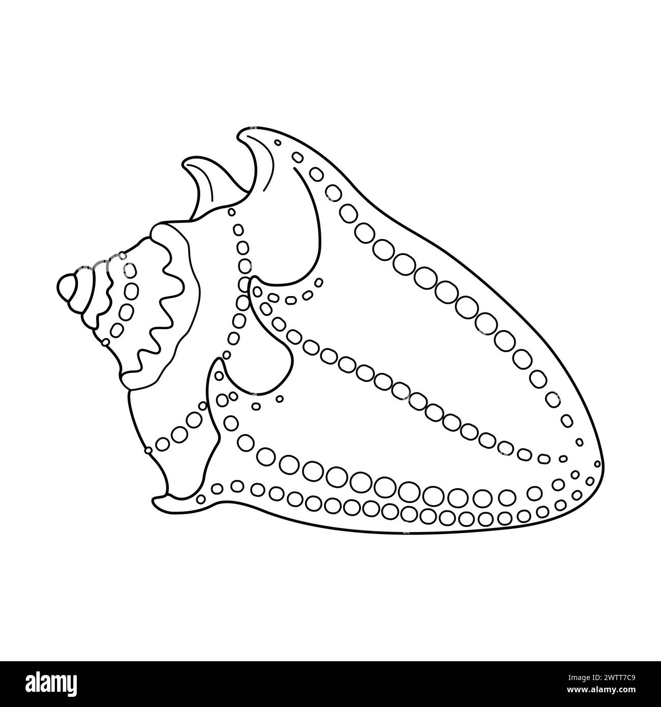 Seashell Vector Illustration Black And White Outline Seashell Coloring Page For Kids And Adults Page For Relaxation And Meditation Vector Illustration Stock Vector Image U0026 Art Alamy