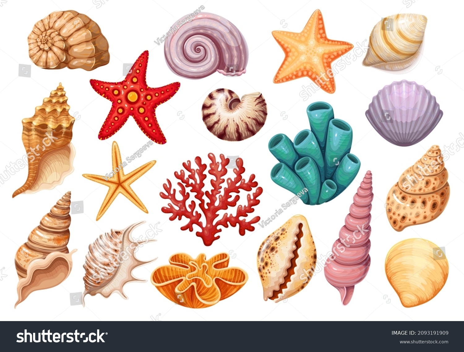 Seashells Icons Set Various Mollusk Seashells Stock Vector Royalty Free 2093191909 Shutterstock