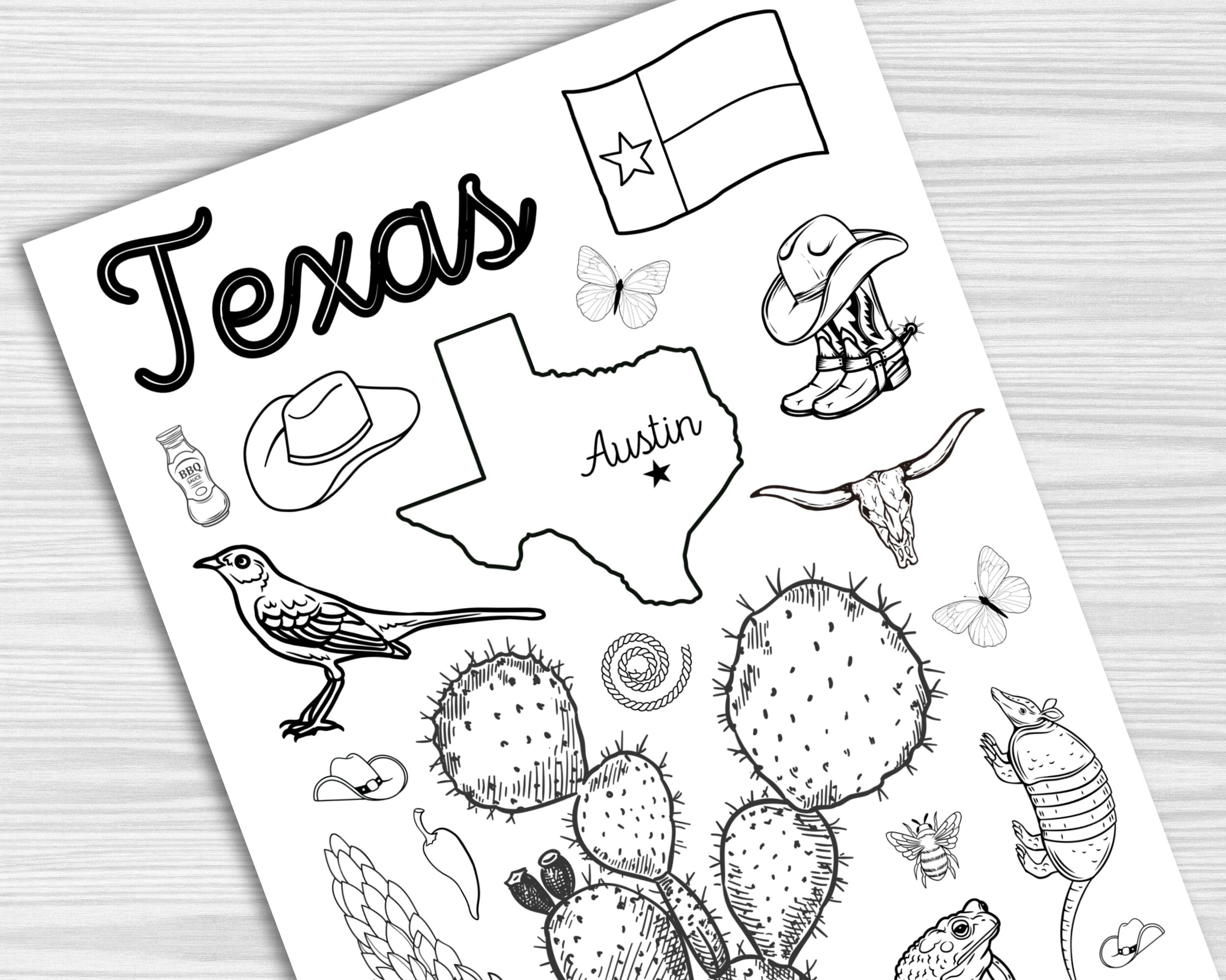Set Of 5 Texas Activity Pages Texas State Symbols Texas Activity 