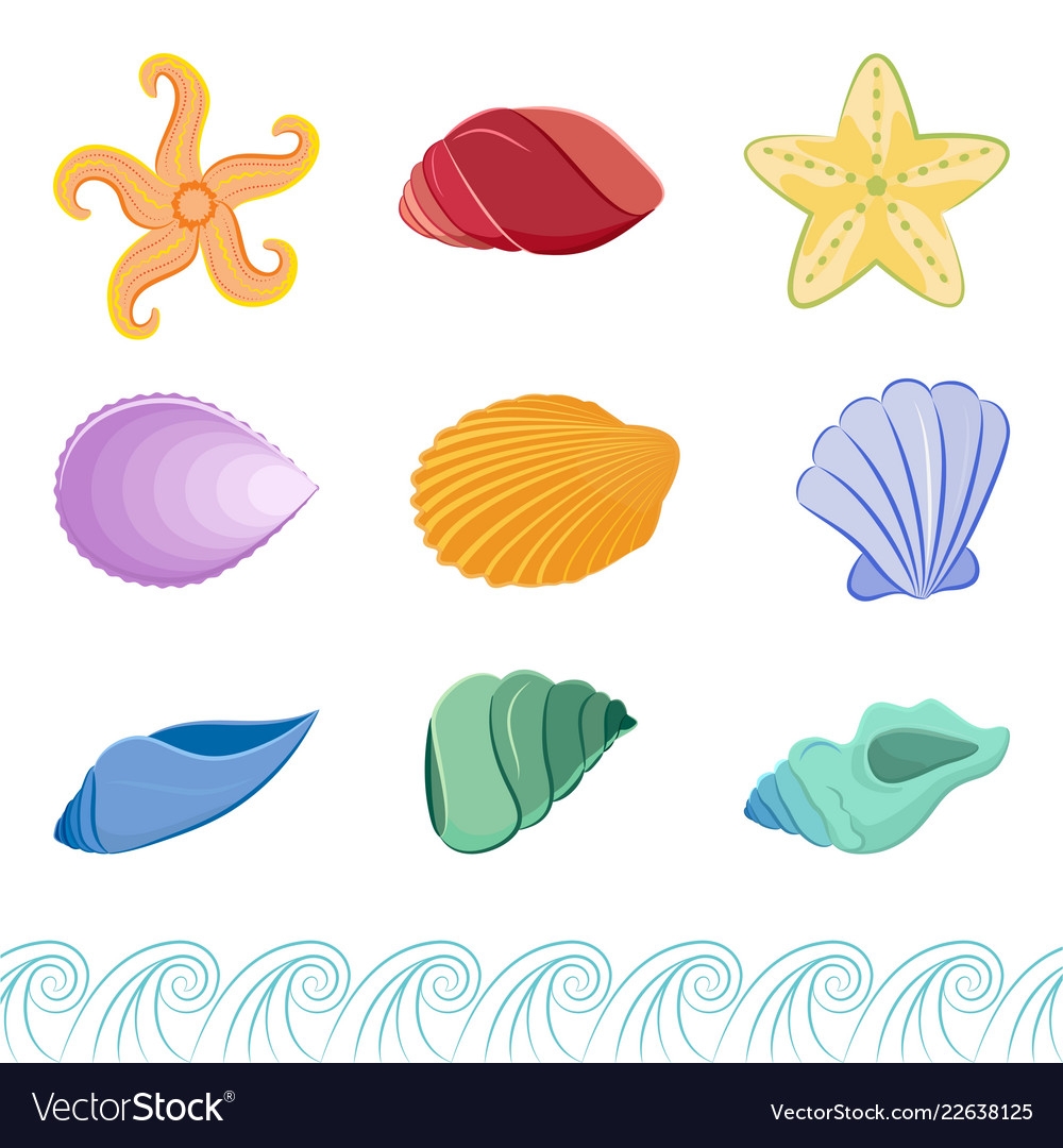 Set Of Colorful Seashells And Starfishes Vector Image