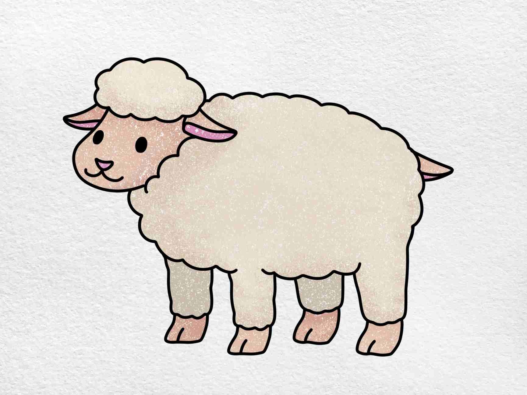 Sheep Drawing For Kids HelloArtsy