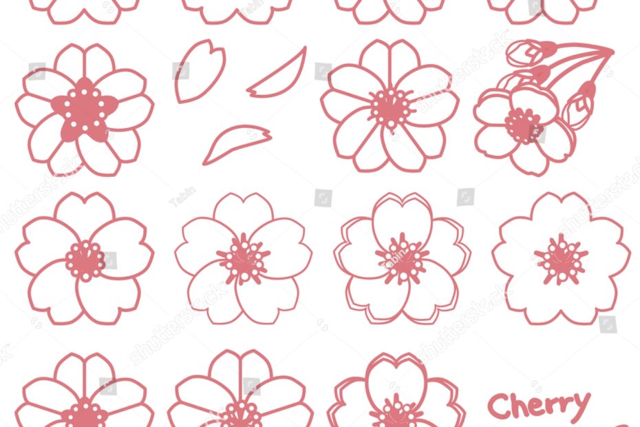 Simple Cherry Blossom Line Drawing Vector Stock Vector Royalty
