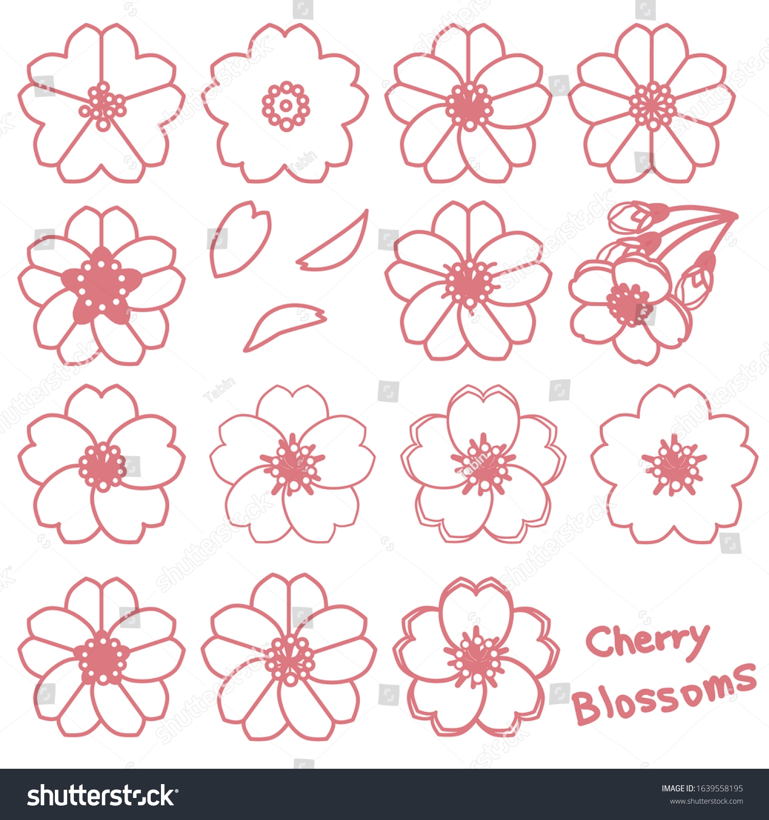 Simple Cherry Blossom Line Drawing Vector Stock Vector Royalty 