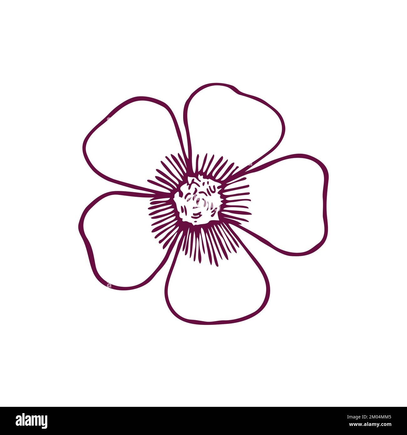 flower outline drawing