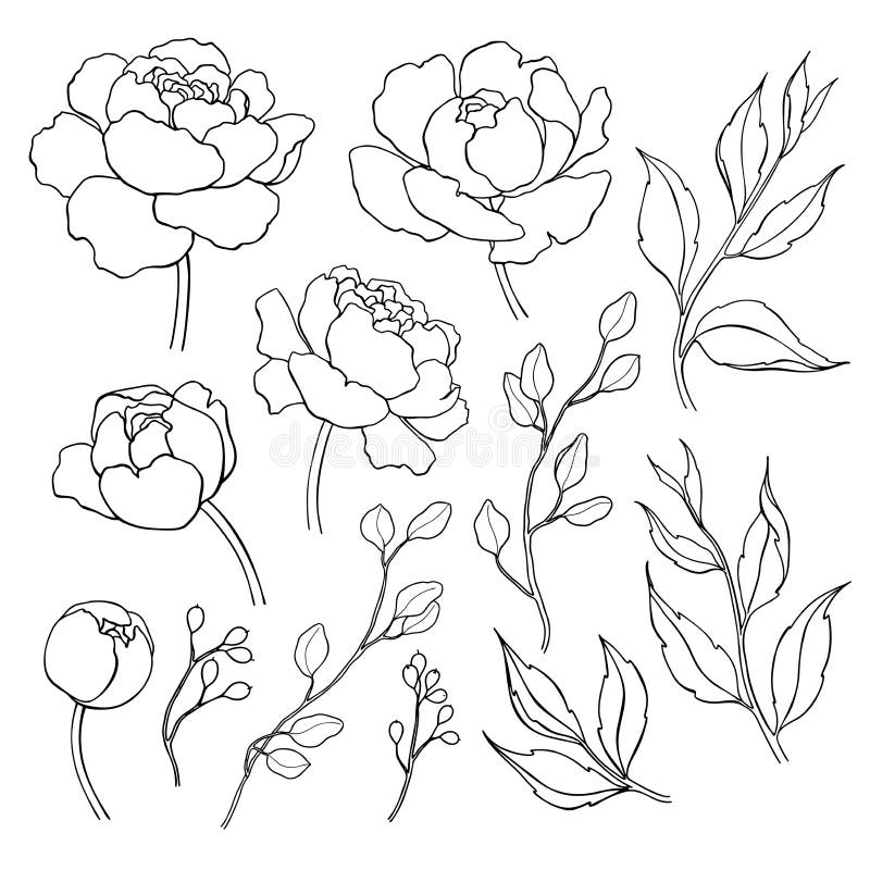 Simple Flower Drawing Stock Illustrations 171 806 Simple Flower 