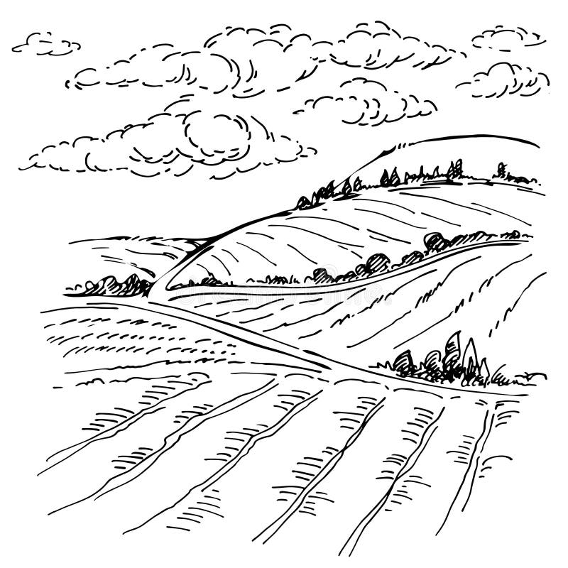 farmland drawing