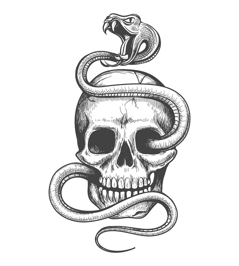 Skull Snake Tattoo Image U0026 Vector Download TheHungryJPEG