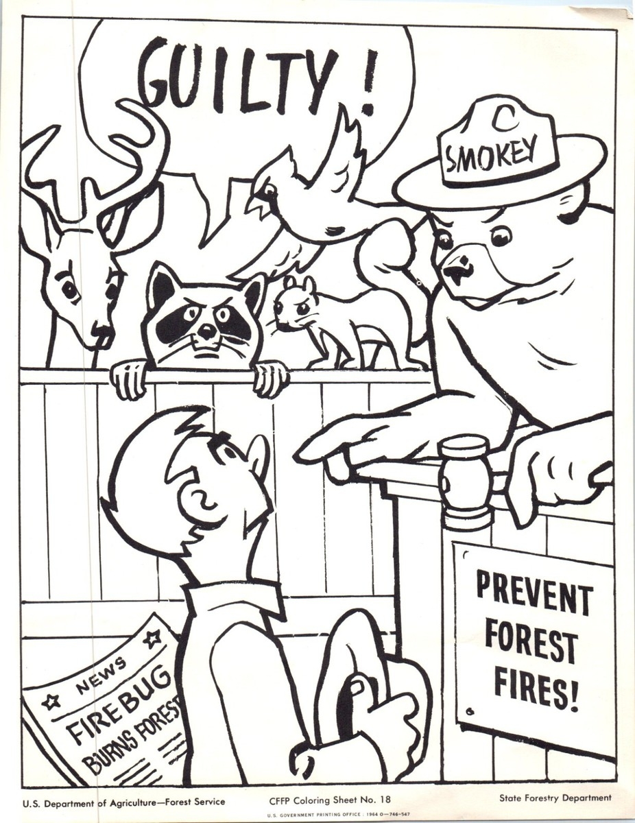Smokey Bear USDA Forest Service Coloring Sheet 18 State Forestry 1964 8 5