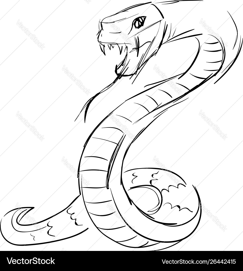 Snake Drawing On White Background Royalty Free Vector Image