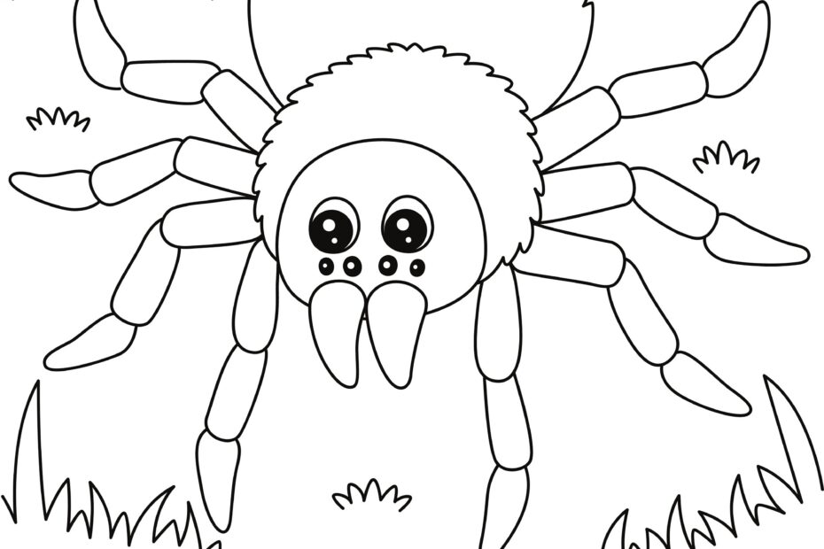 Spider Coloring Page DIGITAL DOWNLOAD Printable Coloring Page