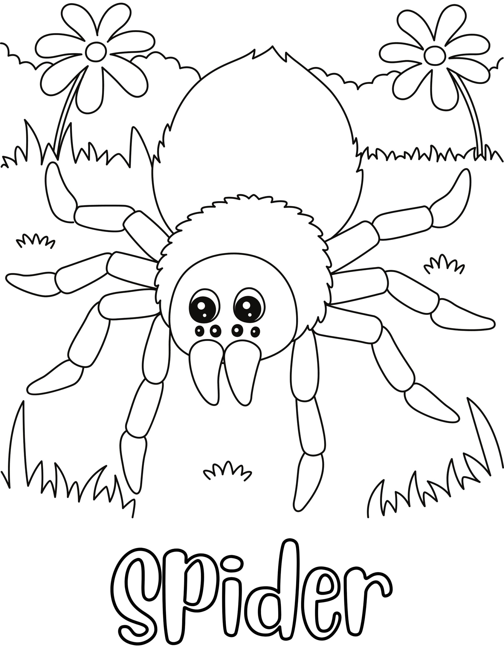 Spider Coloring Page DIGITAL DOWNLOAD Printable Coloring Page