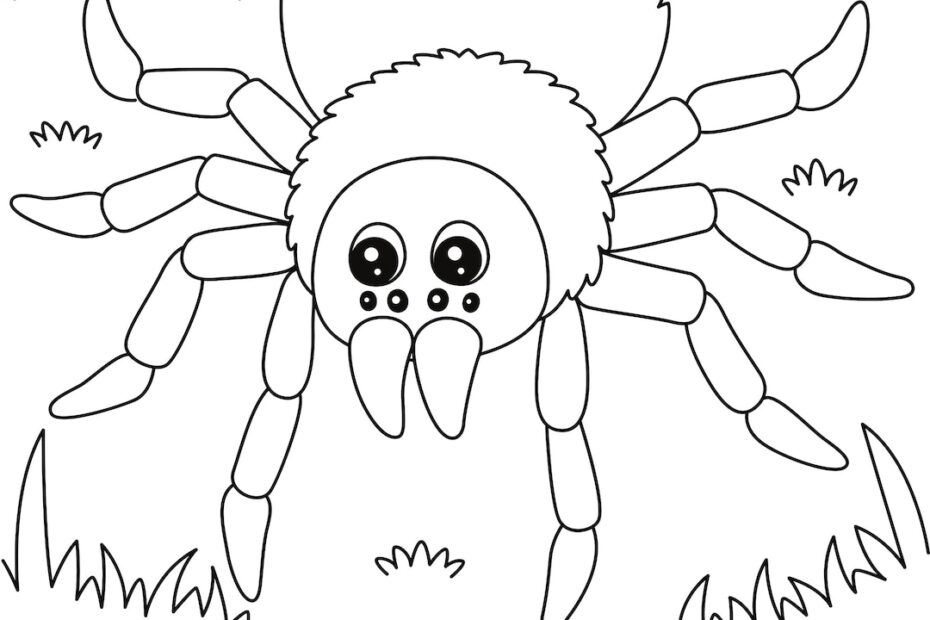 Spider Coloring Page DIGITAL DOWNLOAD Printable Coloring Page Etsy