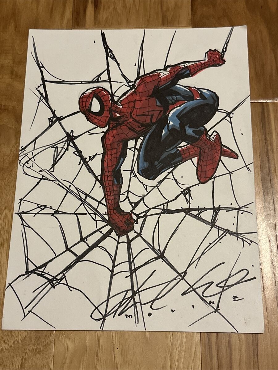drawing of spider man