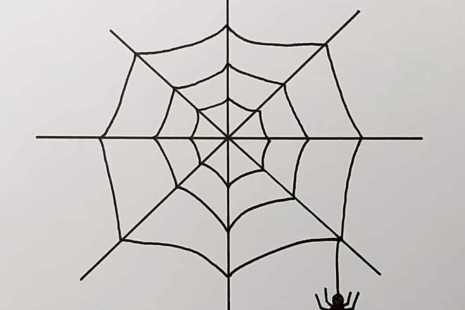 Spider Web Drawing Skip To My Lou