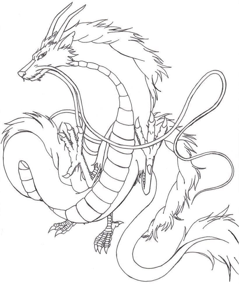 Spirited Away Dragon Coloring Page Download Print Or Color Online For Free